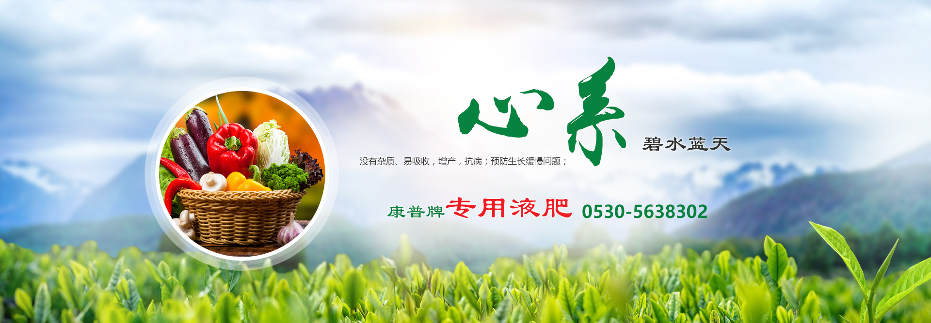 企業(yè)簡(jiǎn)介