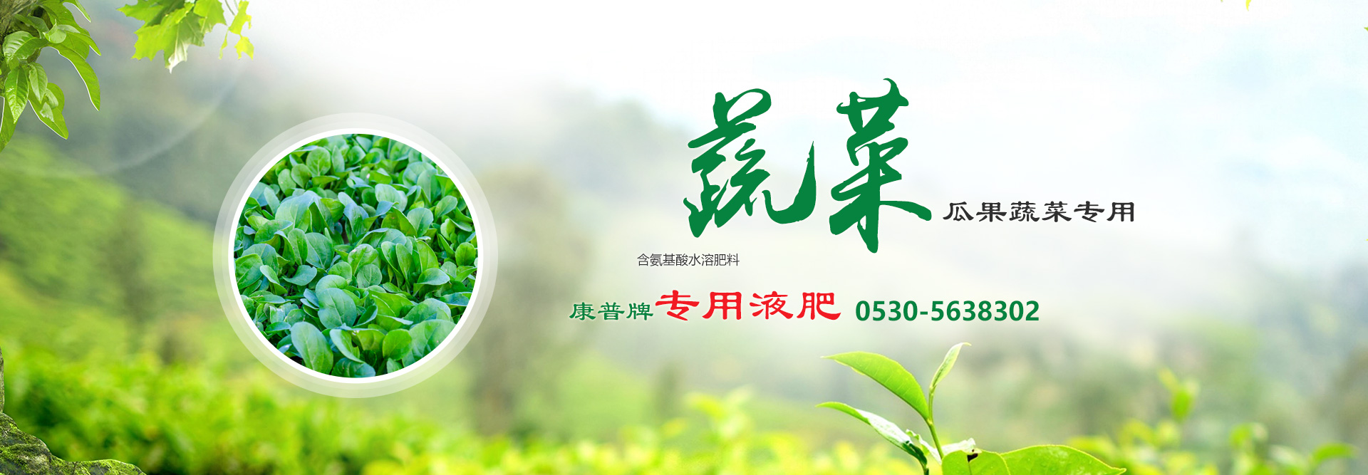 行業(yè)資訊